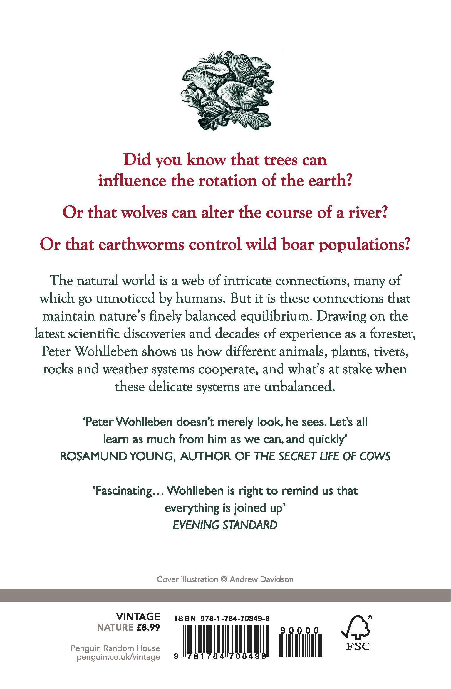 Rückseite: 9781784708498 | The Secret Network of Nature | Peter Wohlleben | Taschenbuch | 264 S.