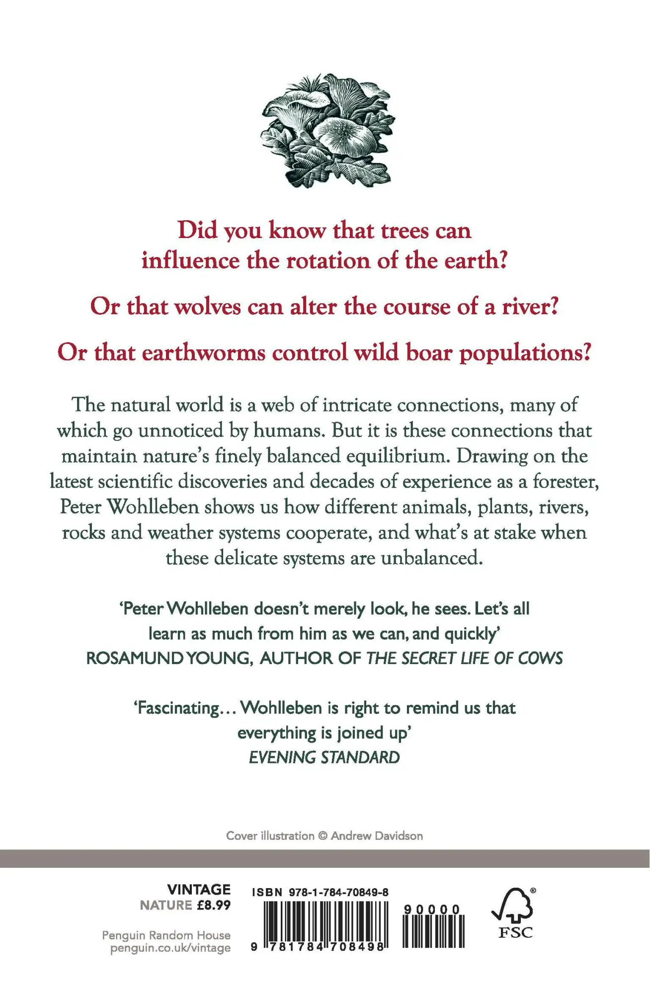 Rückseite: 9781784708498 | The Secret Network of Nature | Peter Wohlleben | Taschenbuch | 264 S.