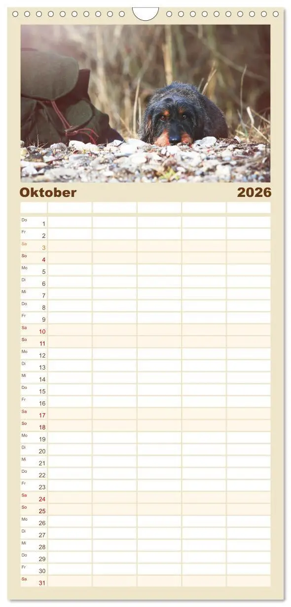 Bild: 9783516518498 | Familienplaner 2026 - Der Dackel mit 5 Spalten (Wandkalender, 21 x...