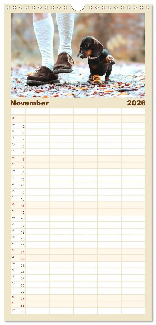 Bild: 9783516518498 | Familienplaner 2026 - Der Dackel mit 5 Spalten (Wandkalender, 21 x...