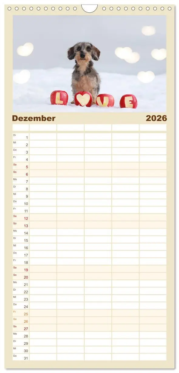 Bild: 9783516518498 | Familienplaner 2026 - Der Dackel mit 5 Spalten (Wandkalender, 21 x...