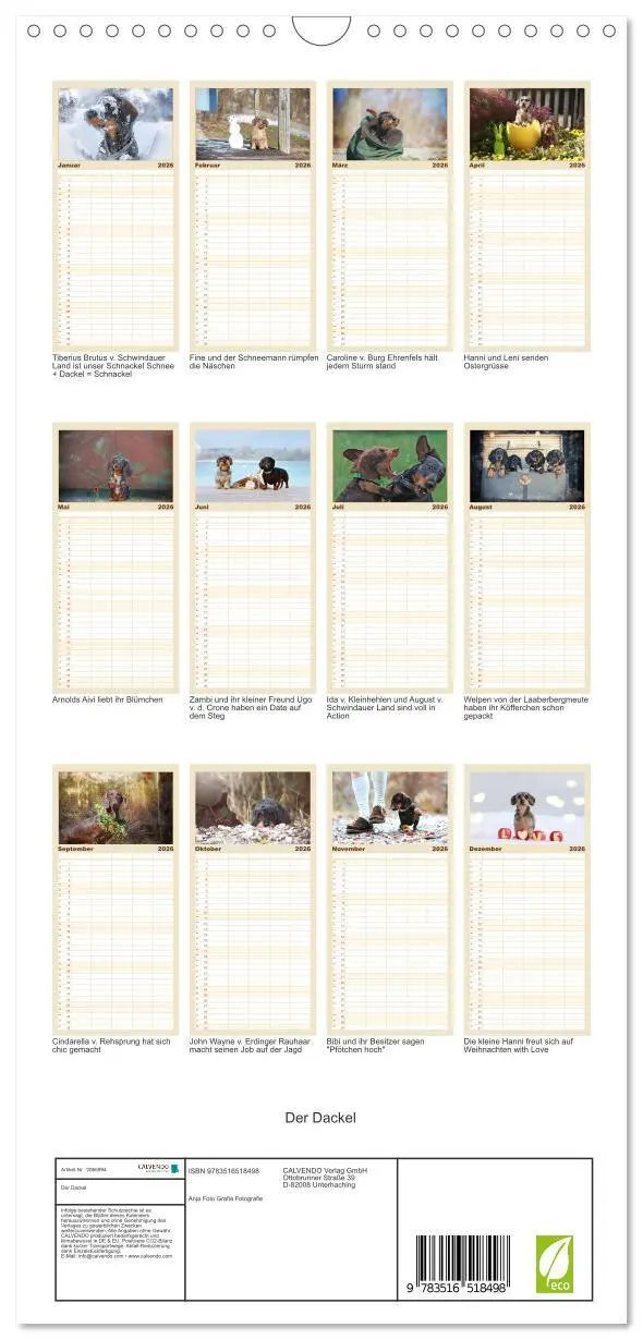 Bild: 9783516518498 | Familienplaner 2026 - Der Dackel mit 5 Spalten (Wandkalender, 21 x...