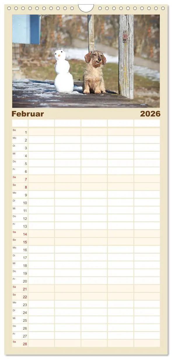 Bild: 9783516518498 | Familienplaner 2026 - Der Dackel mit 5 Spalten (Wandkalender, 21 x...