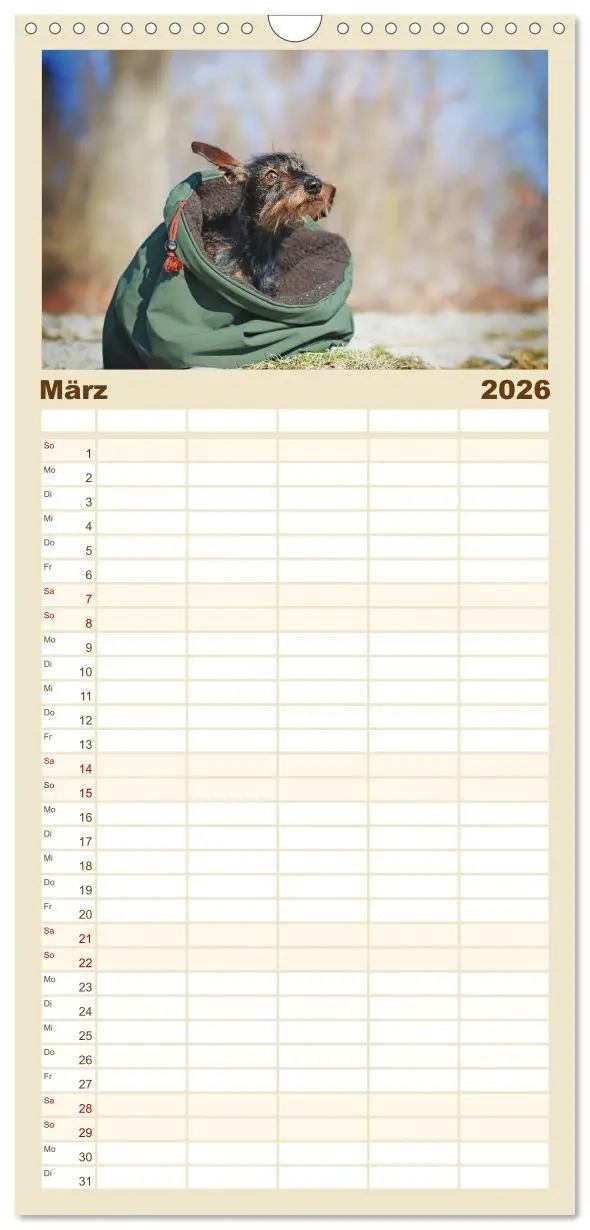 Bild: 9783516518498 | Familienplaner 2026 - Der Dackel mit 5 Spalten (Wandkalender, 21 x...