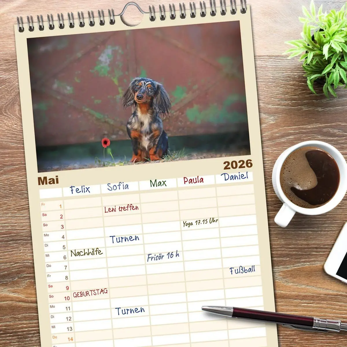 Bild: 9783516518498 | Familienplaner 2026 - Der Dackel mit 5 Spalten (Wandkalender, 21 x...