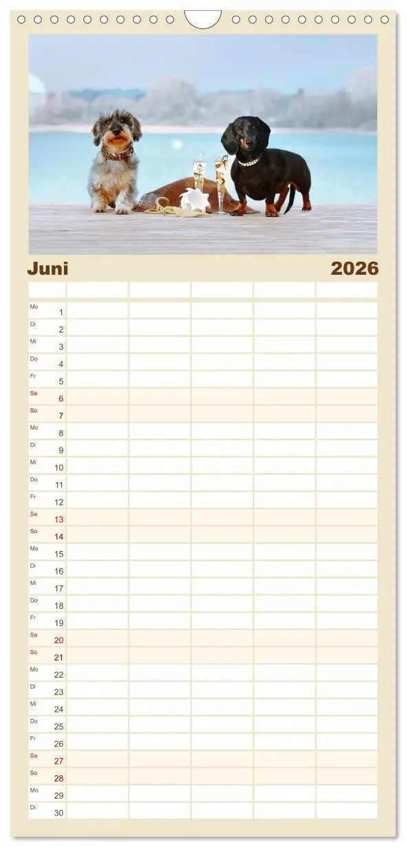 Bild: 9783516518498 | Familienplaner 2026 - Der Dackel mit 5 Spalten (Wandkalender, 21 x...