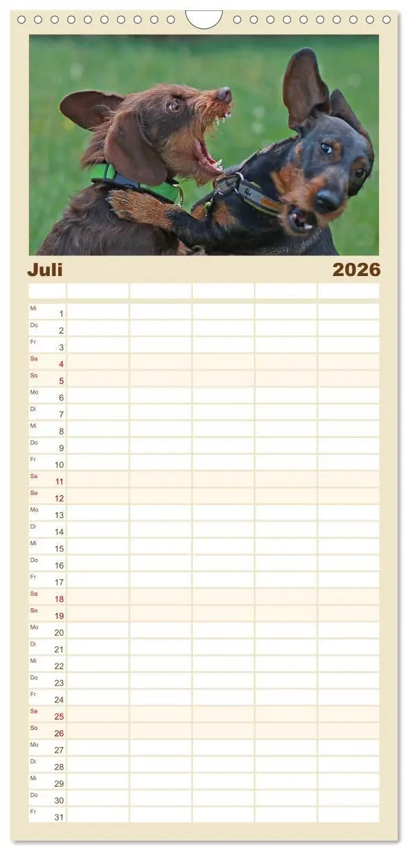 Bild: 9783516518498 | Familienplaner 2026 - Der Dackel mit 5 Spalten (Wandkalender, 21 x...