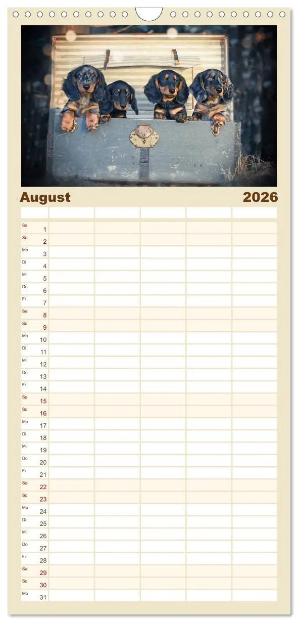 Bild: 9783516518498 | Familienplaner 2026 - Der Dackel mit 5 Spalten (Wandkalender, 21 x...