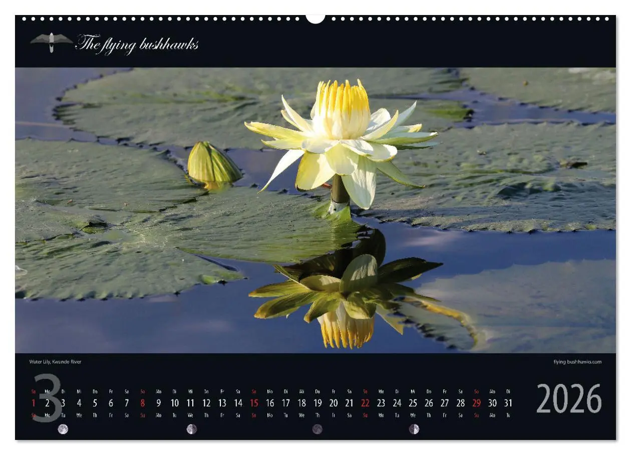 Bild: 9783457278598 | Botswana Blickwinkel 2026 (Wandkalender 2026 DIN A2 quer), CALVENDO...