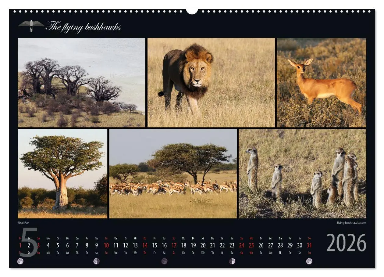 Bild: 9783457278598 | Botswana Blickwinkel 2026 (Wandkalender 2026 DIN A2 quer), CALVENDO...