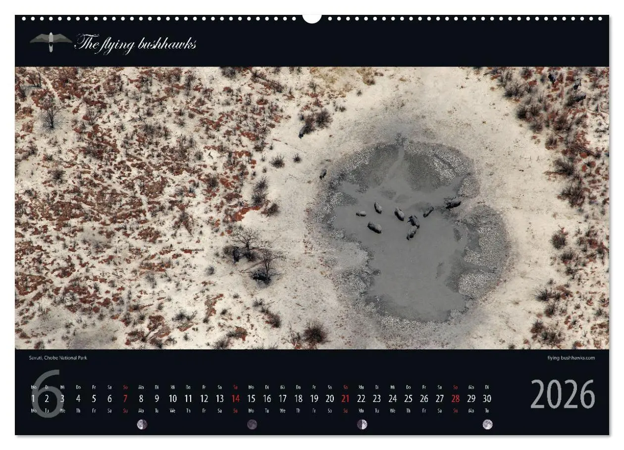 Bild: 9783457278598 | Botswana Blickwinkel 2026 (Wandkalender 2026 DIN A2 quer), CALVENDO...