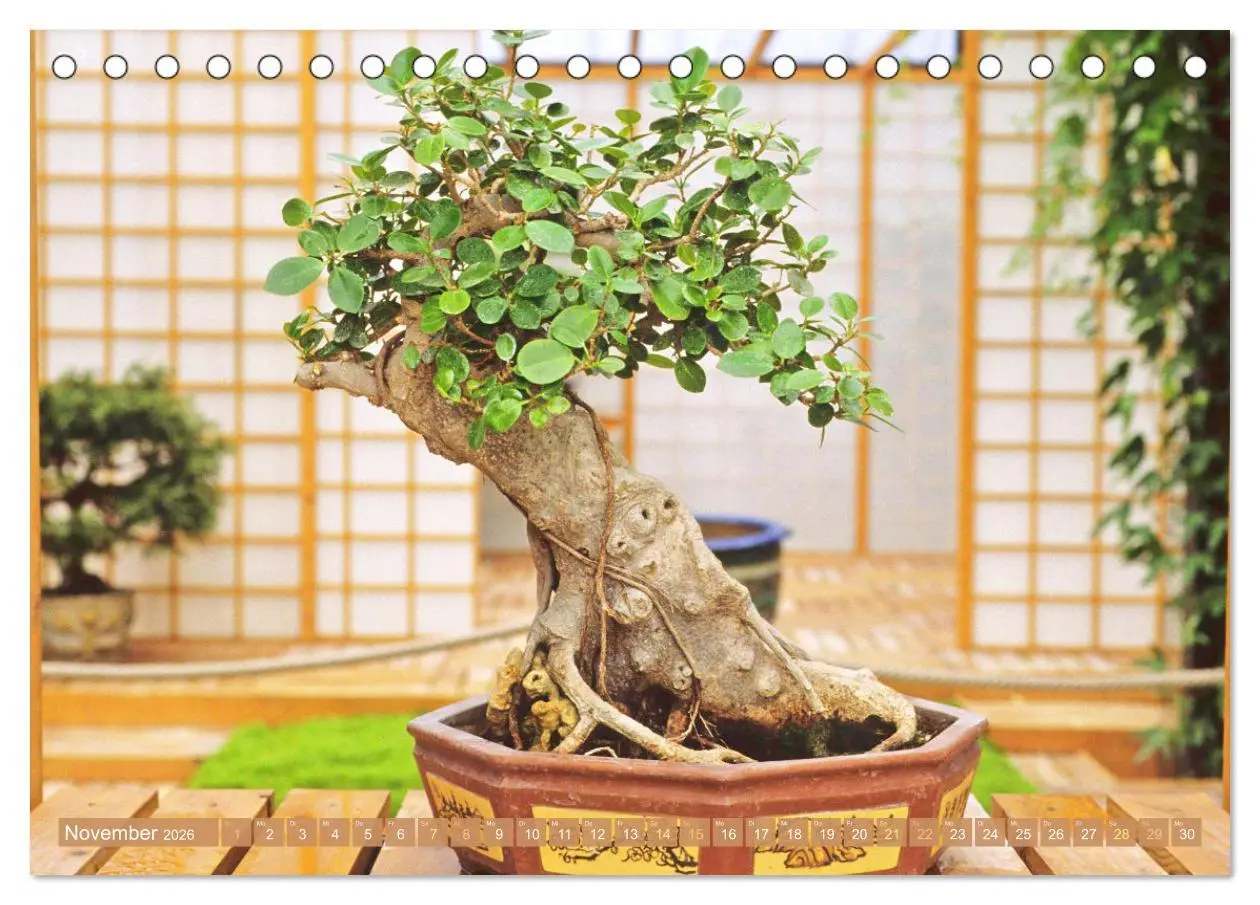 Bild: 9783457348598 | Gartenkunst aus Japan: Bonsai (Tischkalender 2026 DIN A5 quer),...