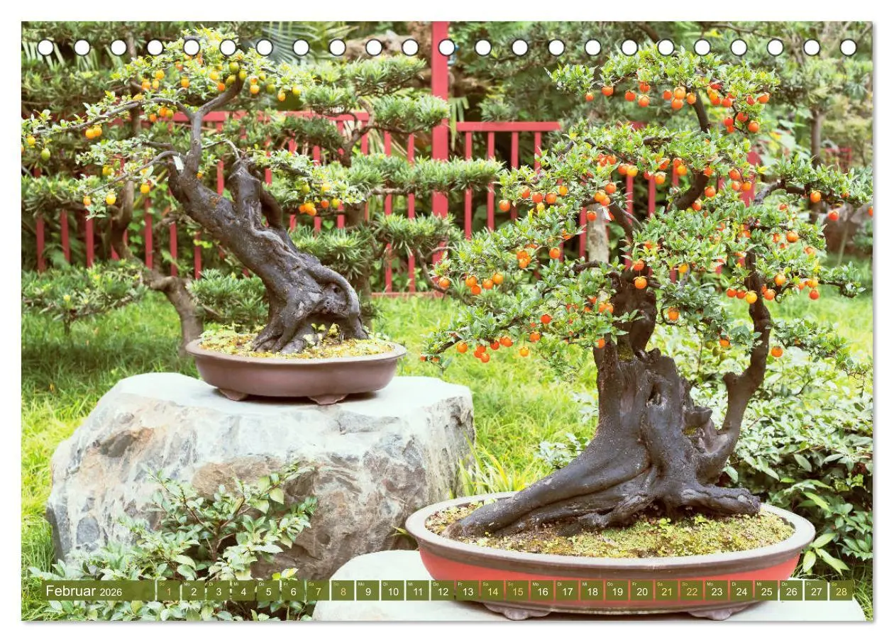 Bild: 9783457348598 | Gartenkunst aus Japan: Bonsai (Tischkalender 2026 DIN A5 quer),...