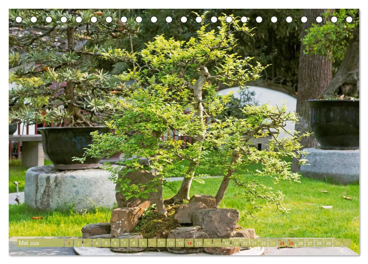 Bild: 9783457348598 | Gartenkunst aus Japan: Bonsai (Tischkalender 2026 DIN A5 quer),...