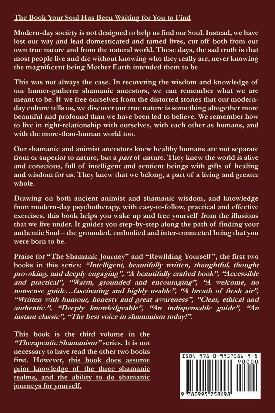 Rückseite: 9780995758698 | Finding Your Deep Soul | Paul Francis | Taschenbuch | Englisch | 2019