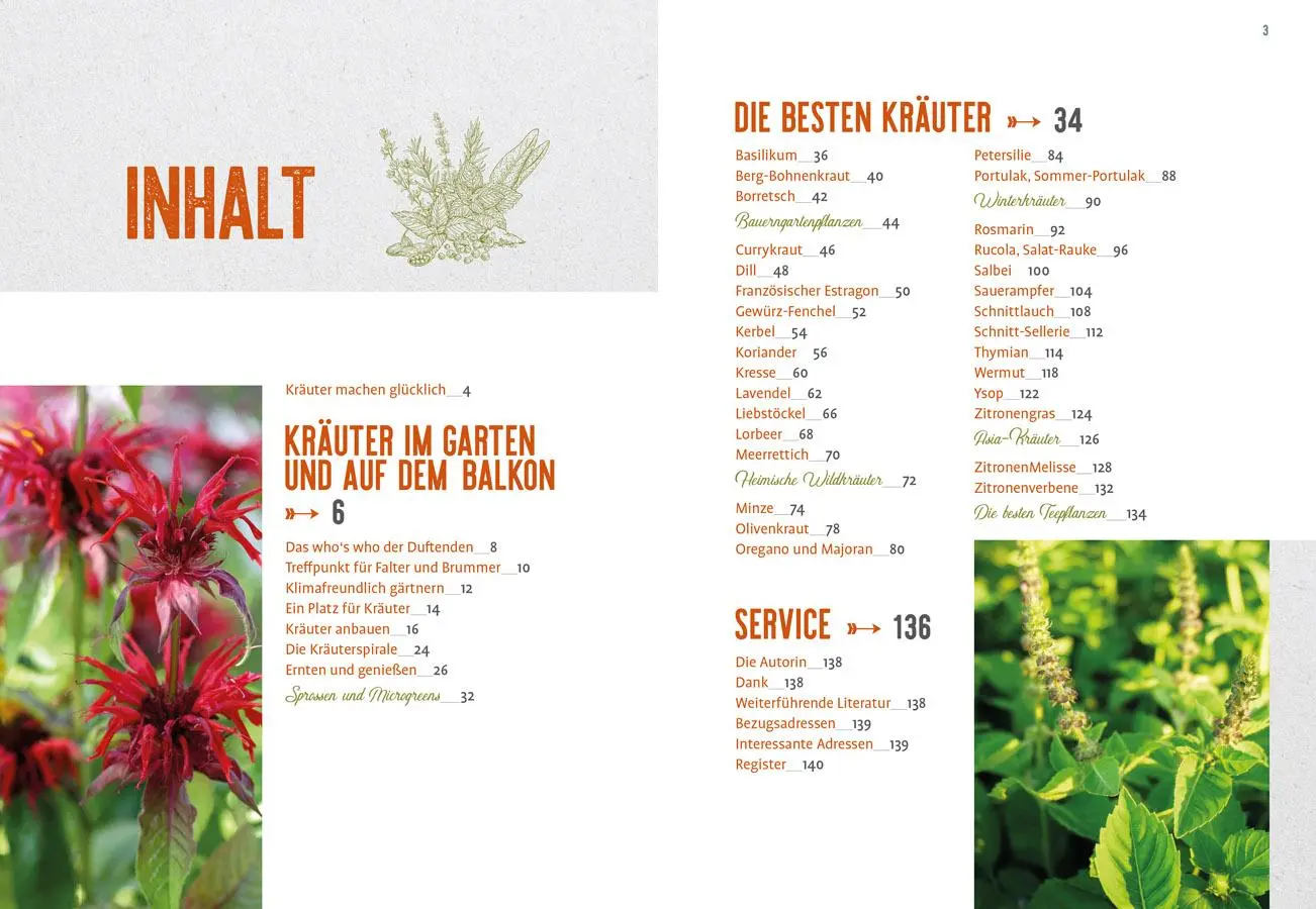 Bild: 9783818618698 | Lang lebe mein Basilikum! | Heide Bergmann | Taschenbuch | 144 S.