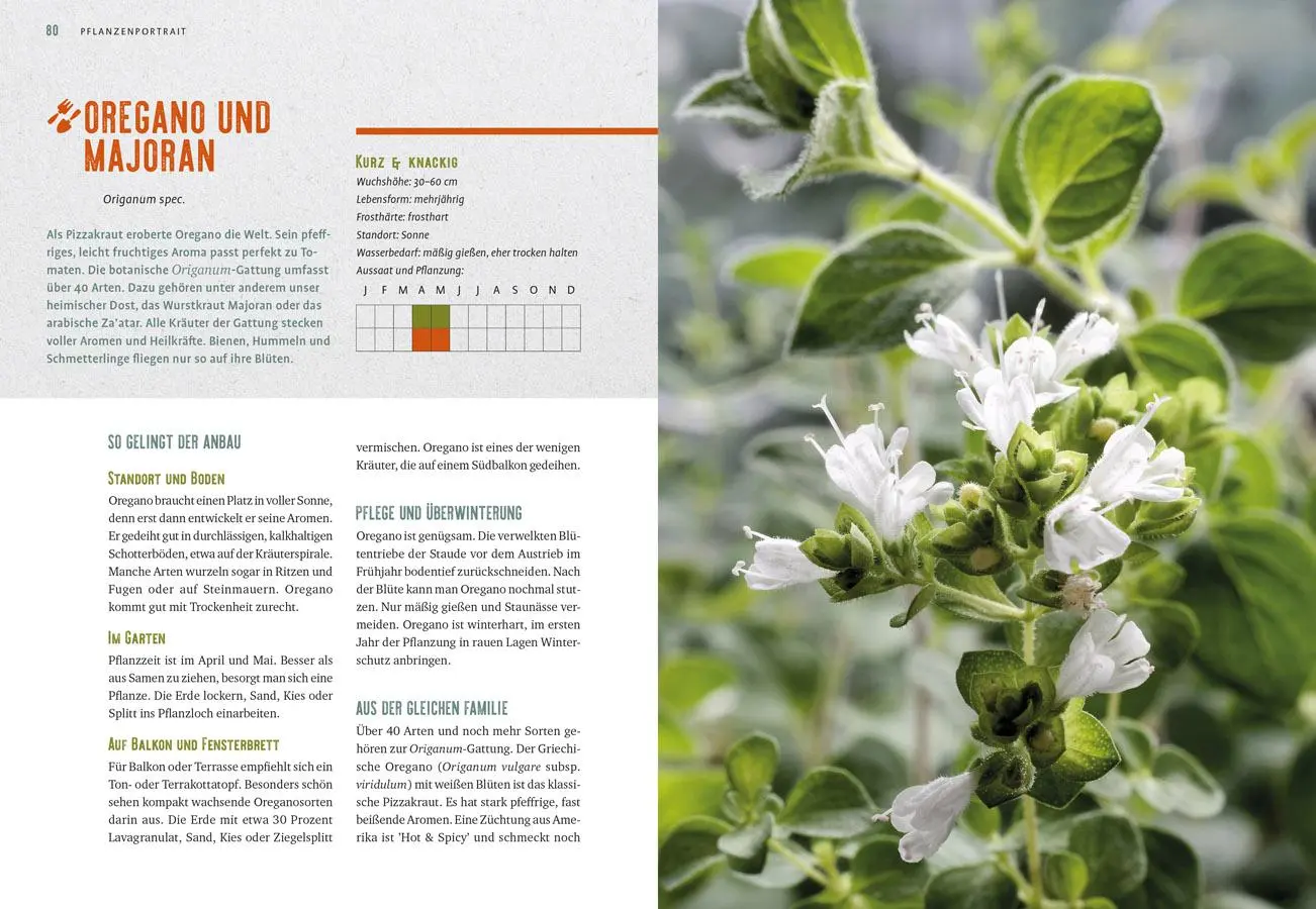 Bild: 9783818618698 | Lang lebe mein Basilikum! | Heide Bergmann | Taschenbuch | 144 S.