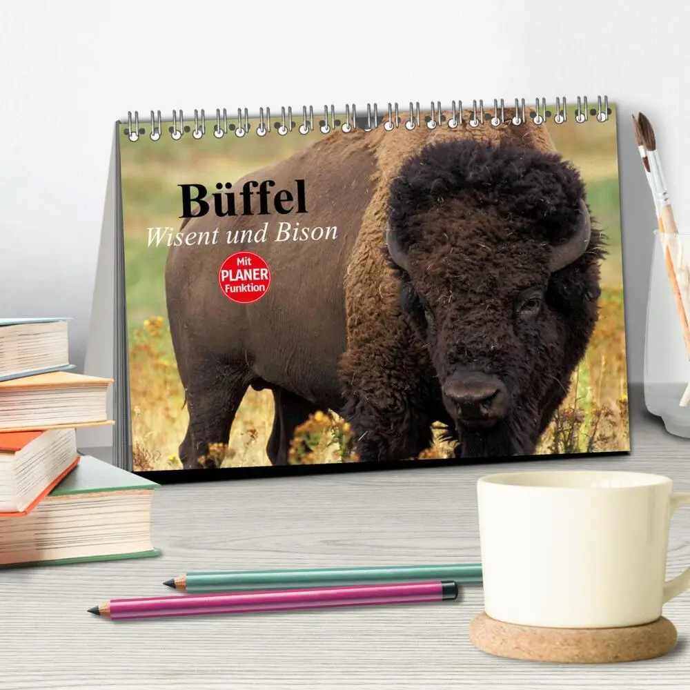 Bild: 9783435548798 | Büffel. Wisent und Bison (Tischkalender 2025 DIN A5 quer), CALVENDO...