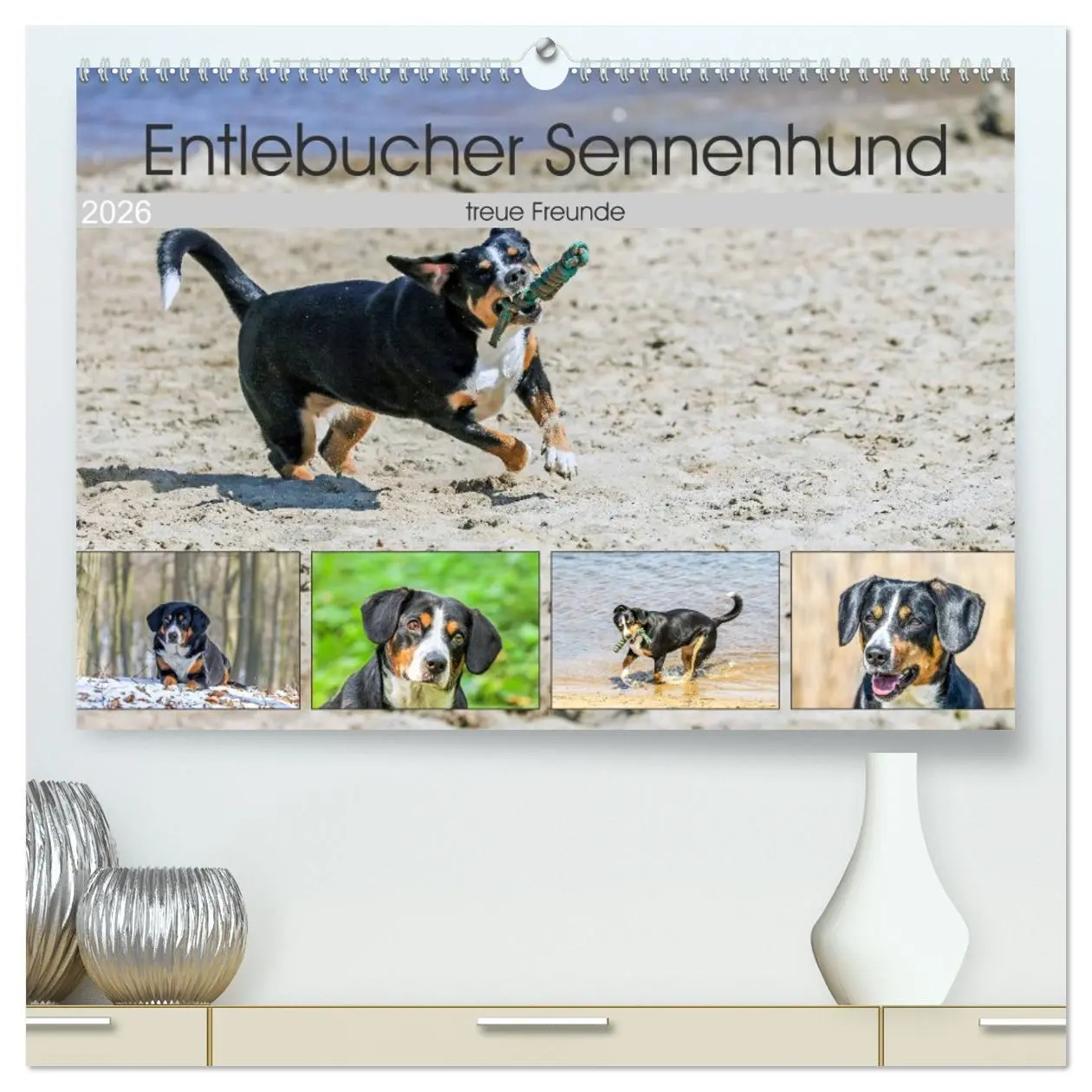 Cover: 9783516038798 | Entlebucher Sennenhund - treue Freunde (hochwertiger Premium...