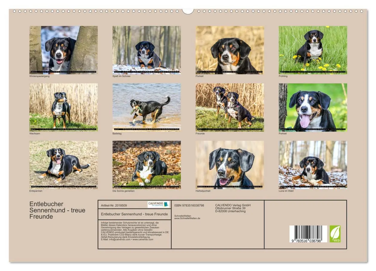 Bild: 9783516038798 | Entlebucher Sennenhund - treue Freunde (hochwertiger Premium...