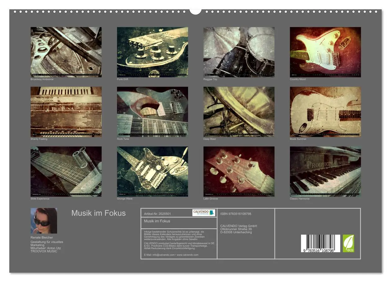 Bild: 9783516108798 | Musik im Fokus (hochwertiger Premium Wandkalender 2026 DIN A2...