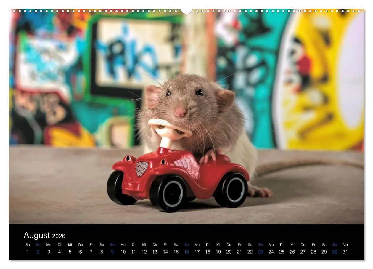 Bild: 9783516028898 | Ratten. Die große Welt der kleinen Nager (hochwertiger Premium...