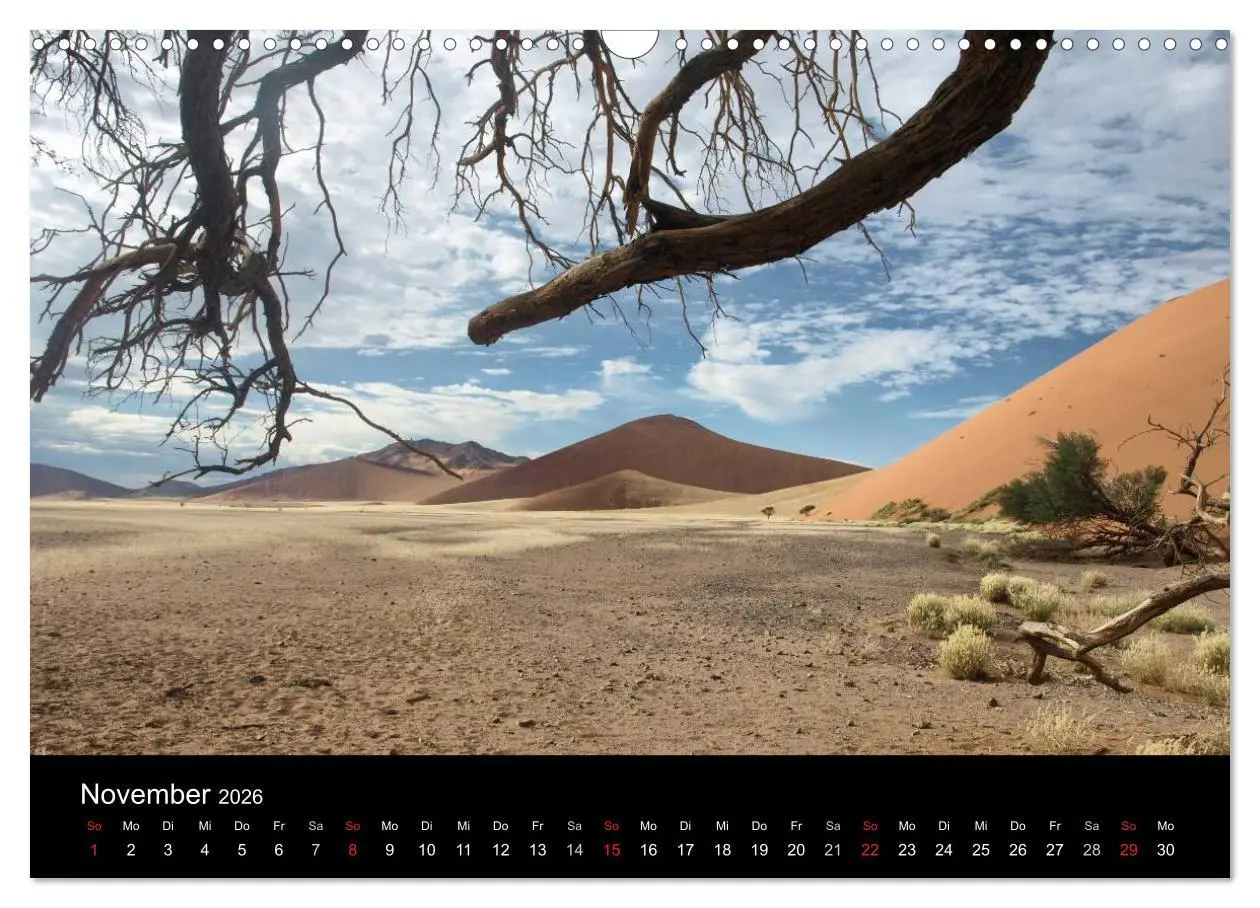 Bild: 9783516198898 | Wüstenzauber Namibia (Wandkalender 2026 DIN A3 quer), CALVENDO...