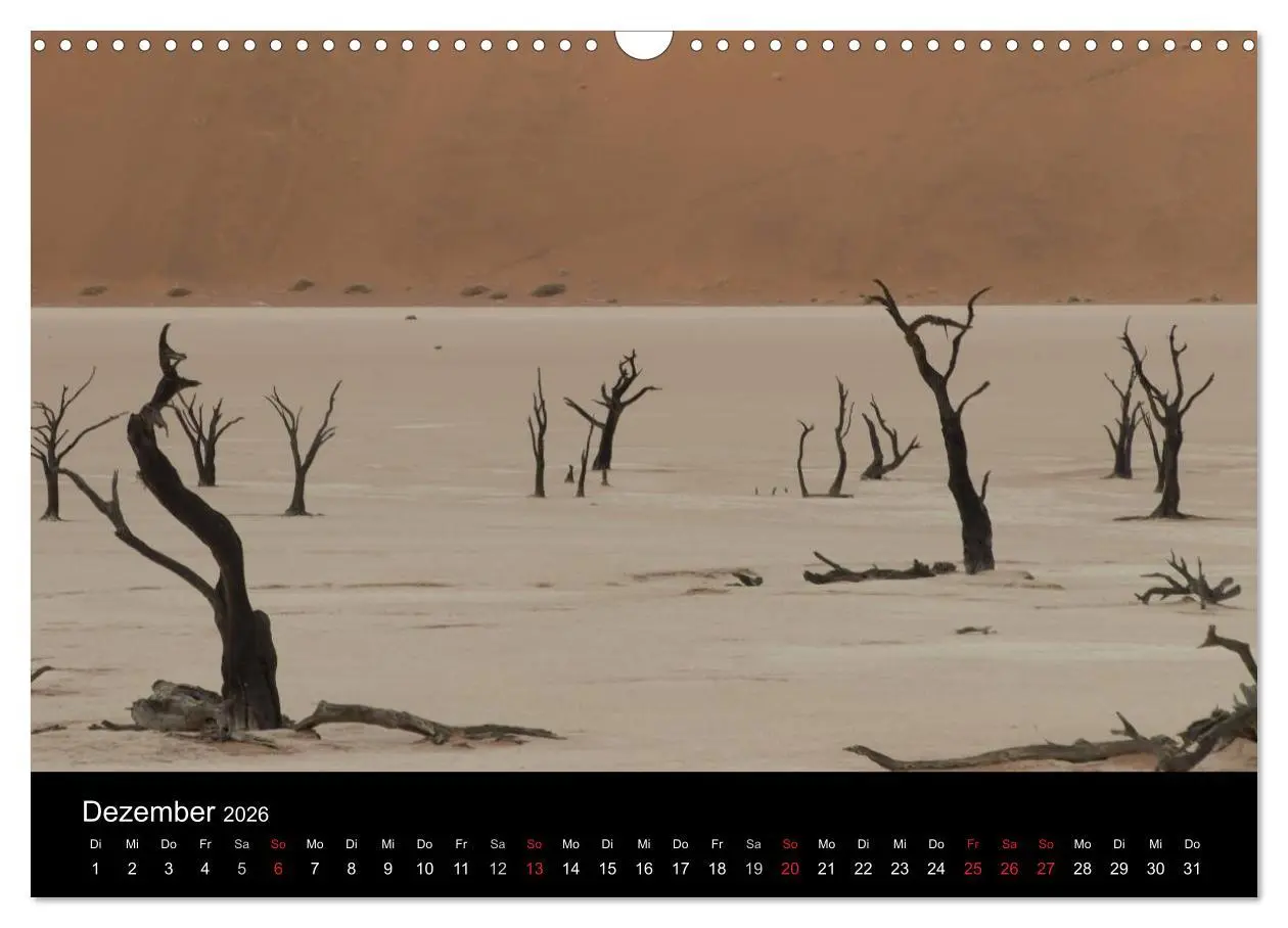 Bild: 9783516198898 | Wüstenzauber Namibia (Wandkalender 2026 DIN A3 quer), CALVENDO...