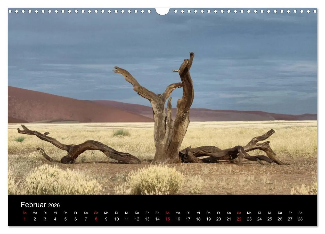 Bild: 9783516198898 | Wüstenzauber Namibia (Wandkalender 2026 DIN A3 quer), CALVENDO...
