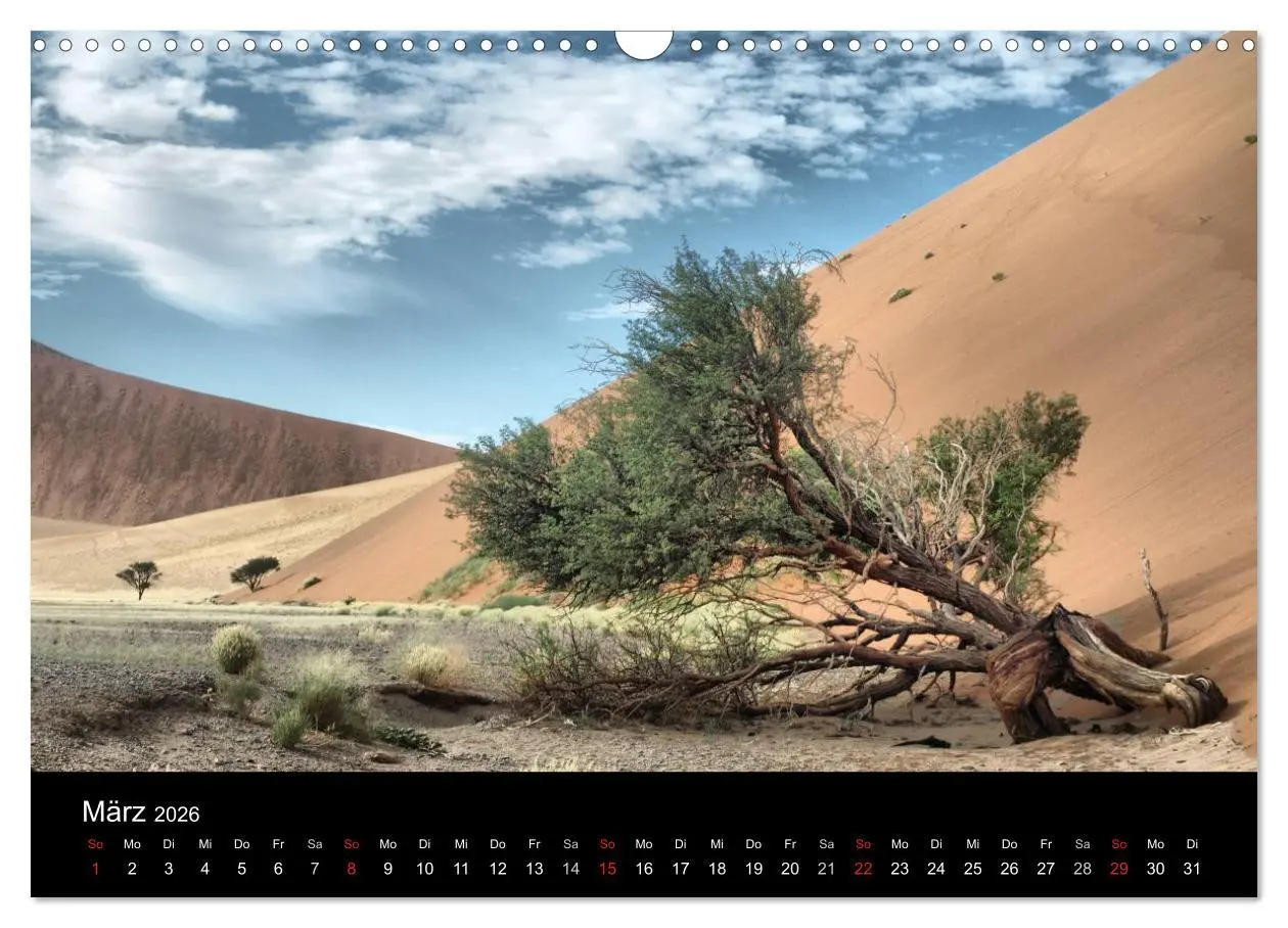 Bild: 9783516198898 | Wüstenzauber Namibia (Wandkalender 2026 DIN A3 quer), CALVENDO...