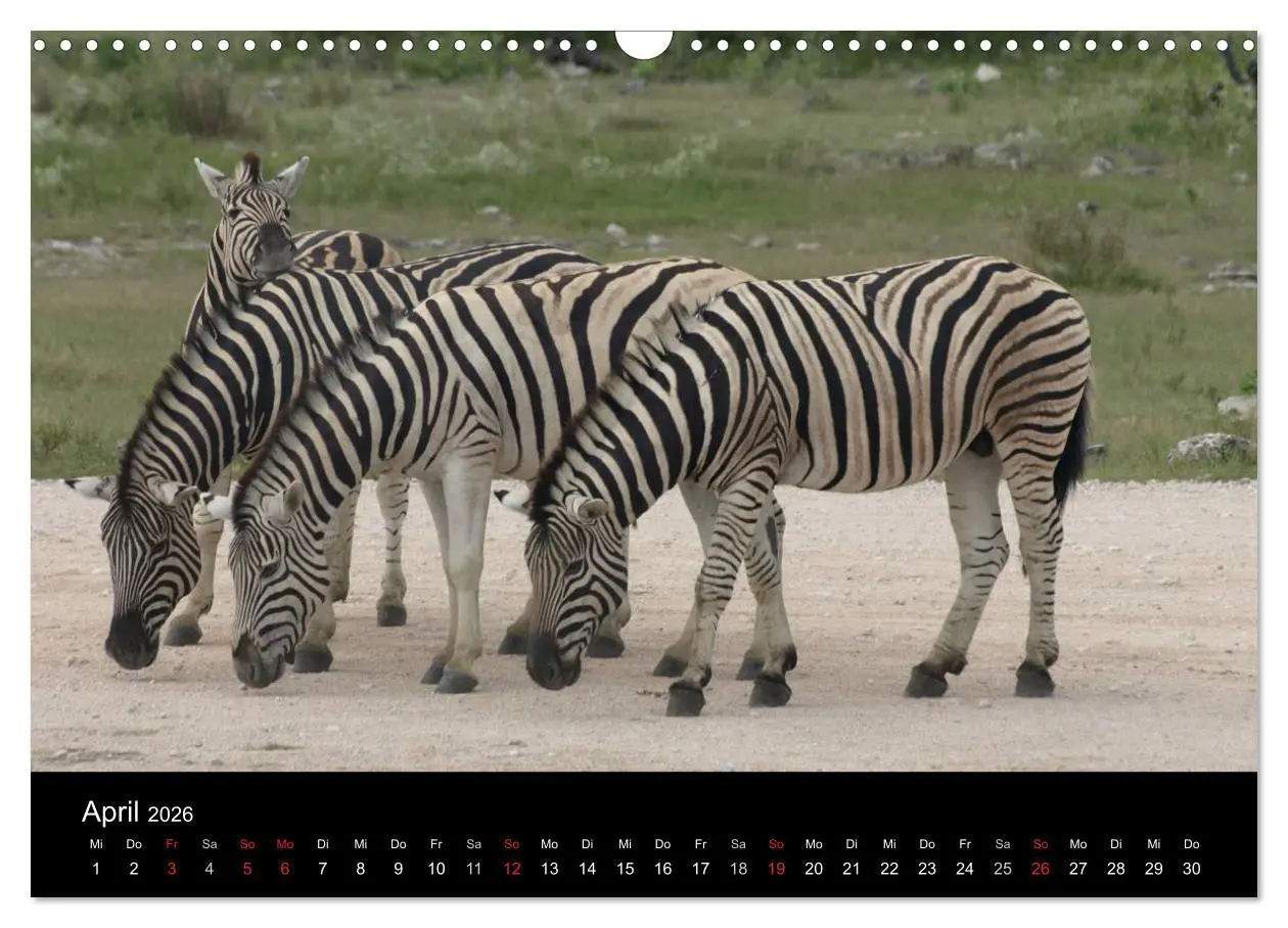 Bild: 9783516198898 | Wüstenzauber Namibia (Wandkalender 2026 DIN A3 quer), CALVENDO...