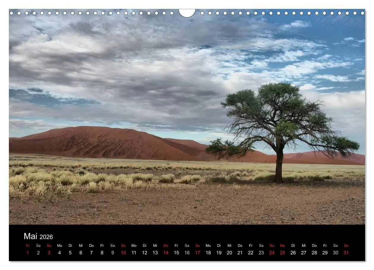 Bild: 9783516198898 | Wüstenzauber Namibia (Wandkalender 2026 DIN A3 quer), CALVENDO...