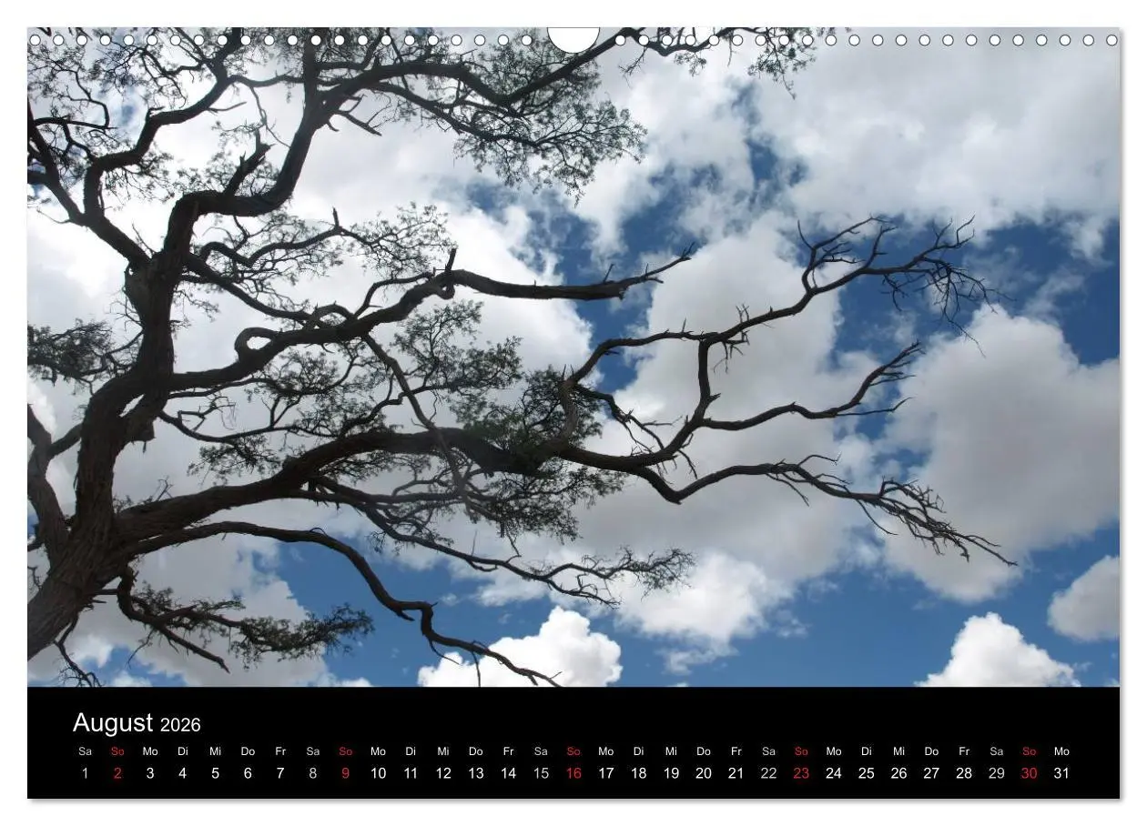 Bild: 9783516198898 | Wüstenzauber Namibia (Wandkalender 2026 DIN A3 quer), CALVENDO...
