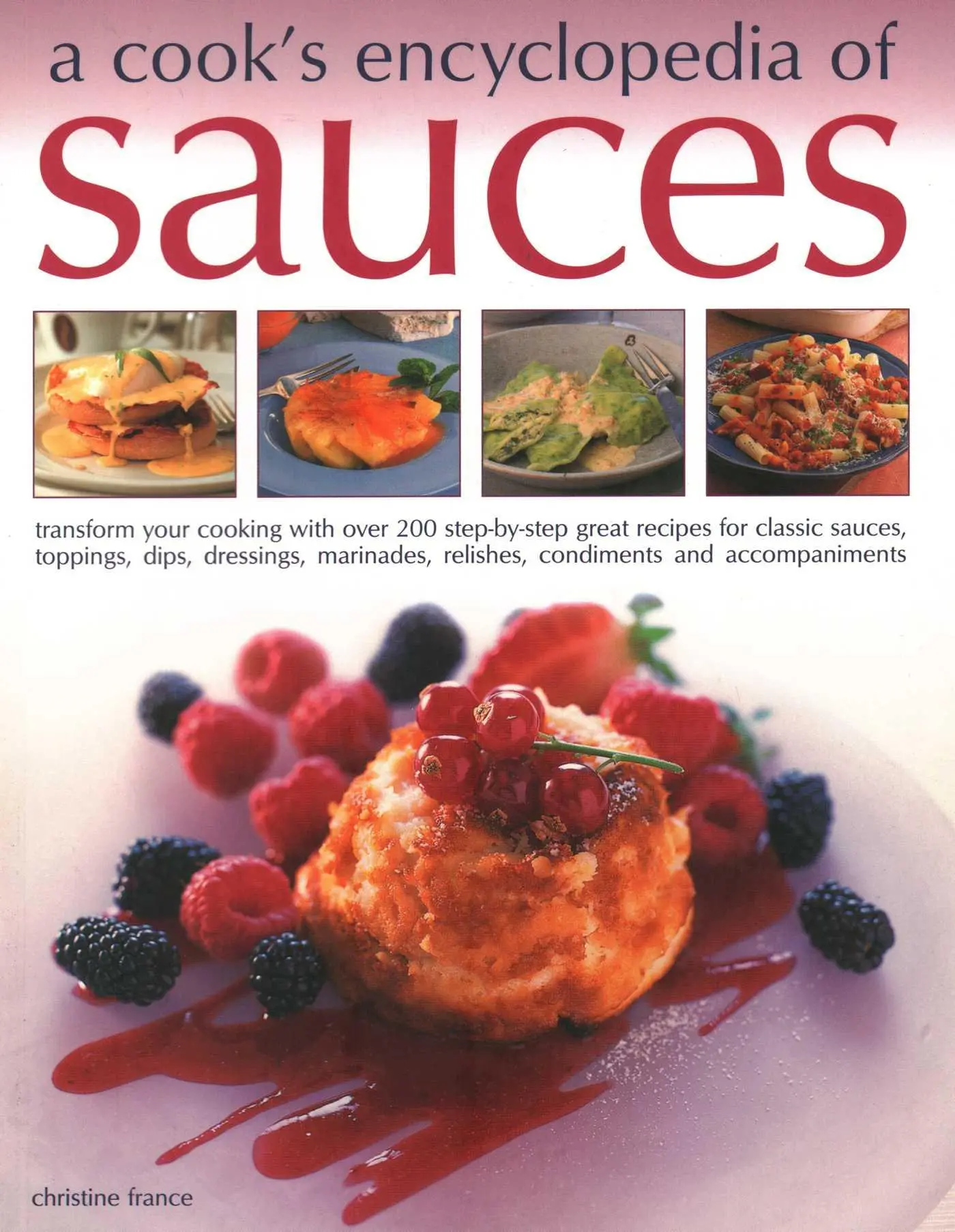 Cover: 9781846818998 | Sauces, A Cook's Encyclopedia of | Christine France | Taschenbuch