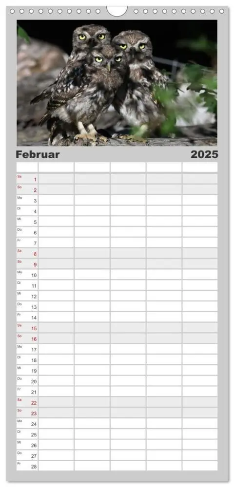 Bild: 9783457098998 | Familienplaner 2025 - Vögel, Gefiederte Schönheiten mit 5 Spalten...