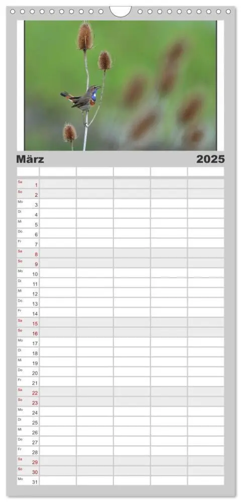 Bild: 9783457098998 | Familienplaner 2025 - Vögel, Gefiederte Schönheiten mit 5 Spalten...