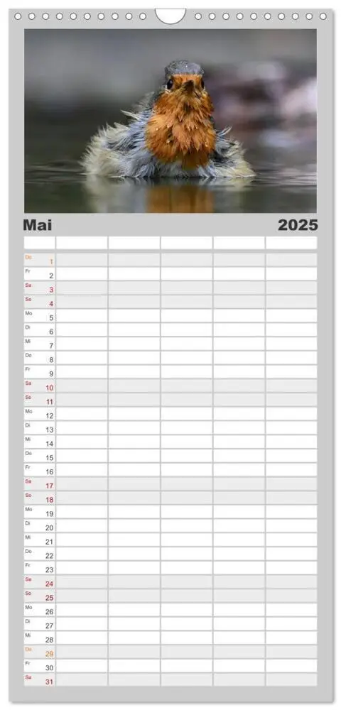 Bild: 9783457098998 | Familienplaner 2025 - Vögel, Gefiederte Schönheiten mit 5 Spalten...