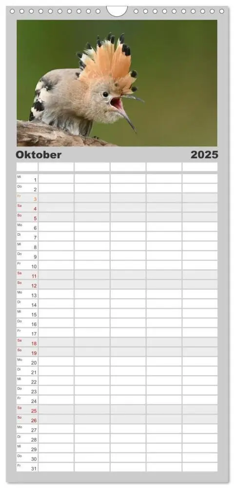 Bild: 9783457098998 | Familienplaner 2025 - Vögel, Gefiederte Schönheiten mit 5 Spalten...