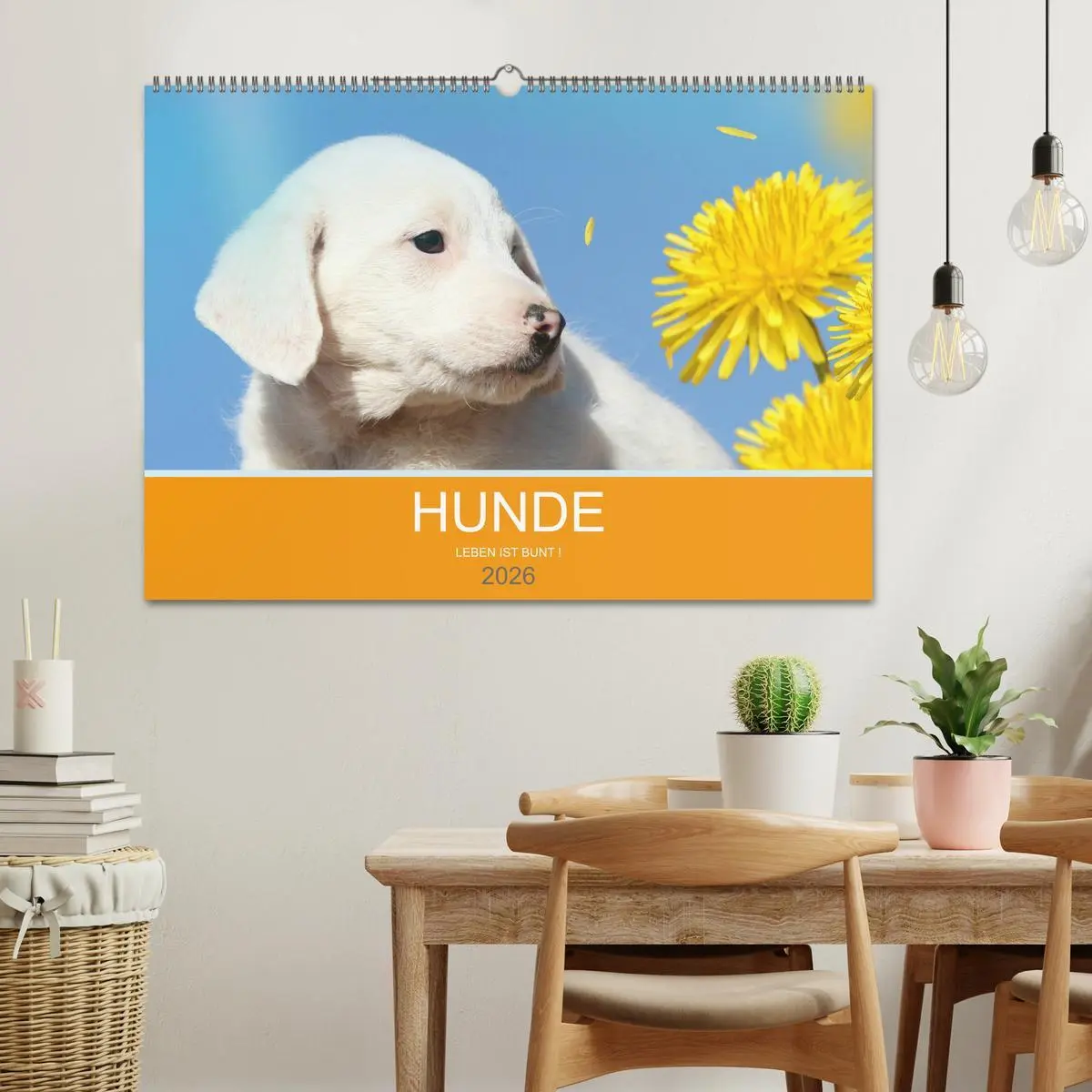 Bild: 9783457819098 | HUNDE LEBEN IST BUNT (Wandkalender 2026 DIN A2 quer), CALVENDO...