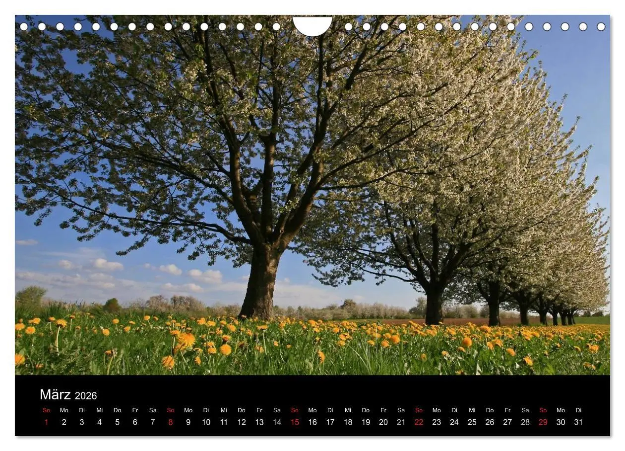 Bild: 9783516219098 | Die Ortenau (Wandkalender 2026 DIN A4 quer), CALVENDO Monatskalender
