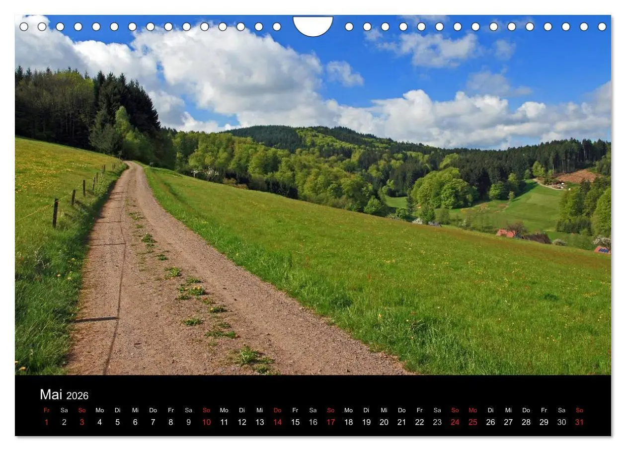 Bild: 9783516219098 | Die Ortenau (Wandkalender 2026 DIN A4 quer), CALVENDO Monatskalender