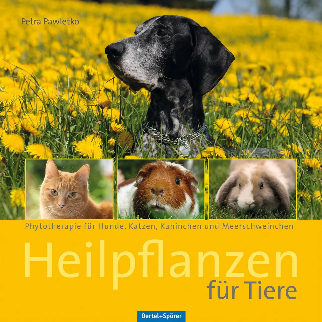 Cover: 9783886279098 | Heilpflanzen für Tiere | Petra Pawletko | Taschenbuch | 216 S. | 2013