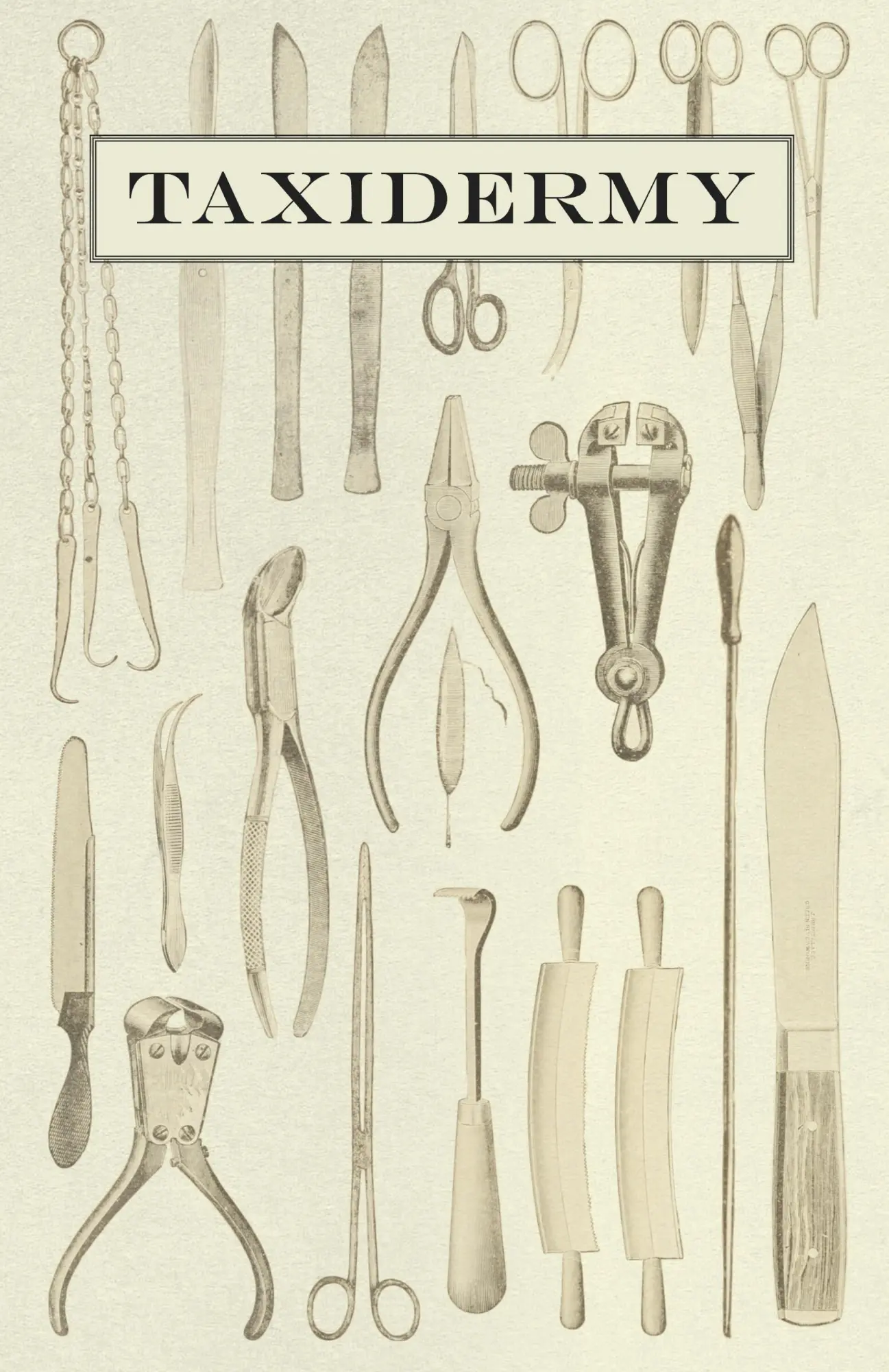 Cover: 9781445509198 | Taxidermy | Anon | Taschenbuch | Kartoniert / Broschiert | Englisch