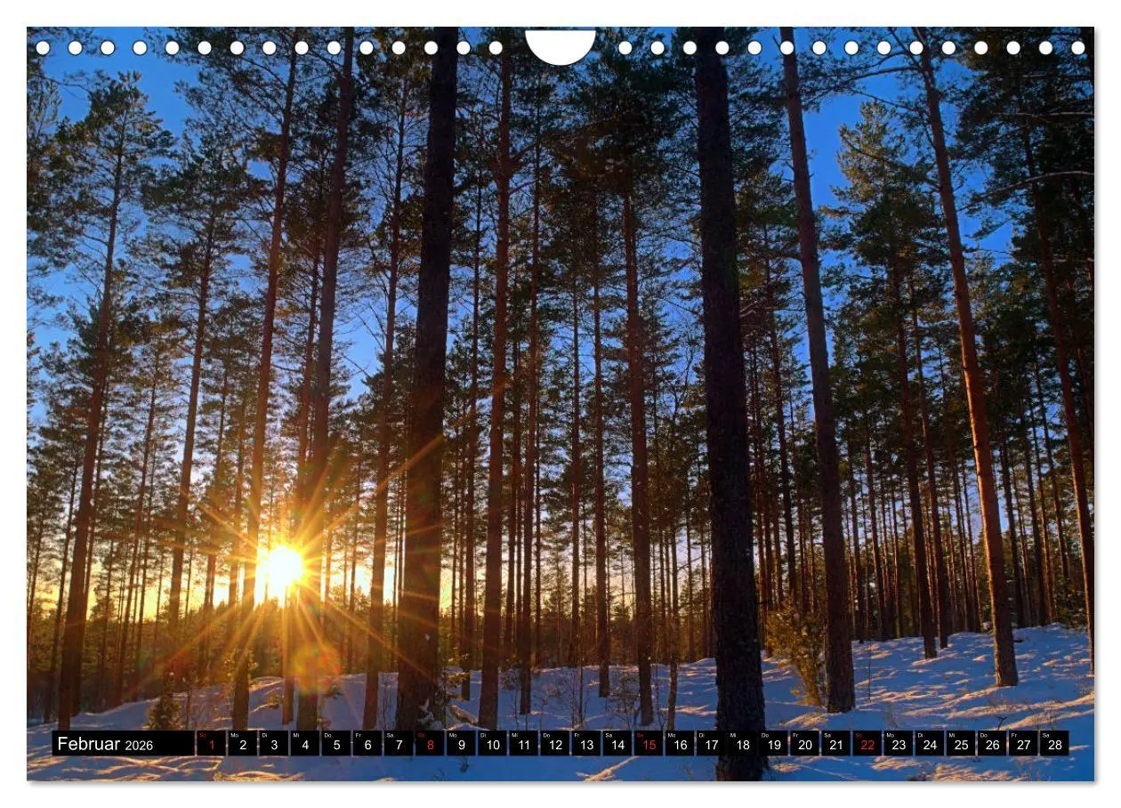 Bild: 9783457809198 | Reiseland Schweden (Wandkalender 2026 DIN A4 quer), CALVENDO...