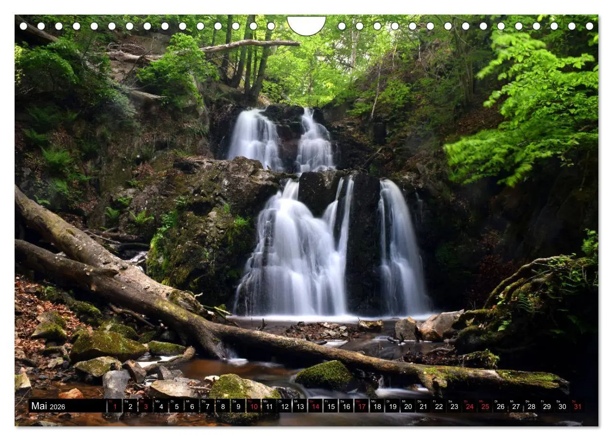 Bild: 9783457809198 | Reiseland Schweden (Wandkalender 2026 DIN A4 quer), CALVENDO...
