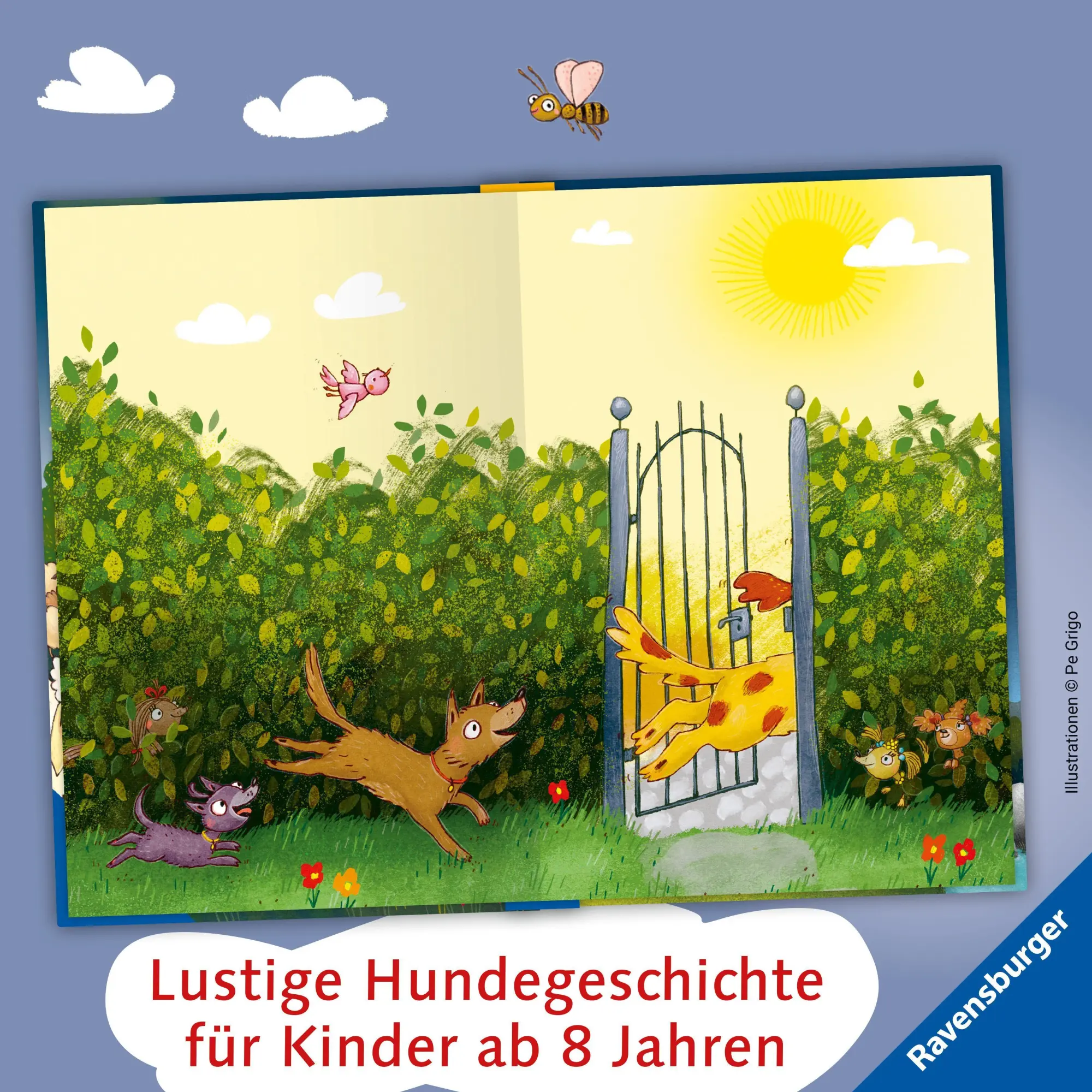 Bild: 9783473409198 | 3 Streuner werden Filmstars | Anja Fröhlich | Buch | 224 S. | Deutsch