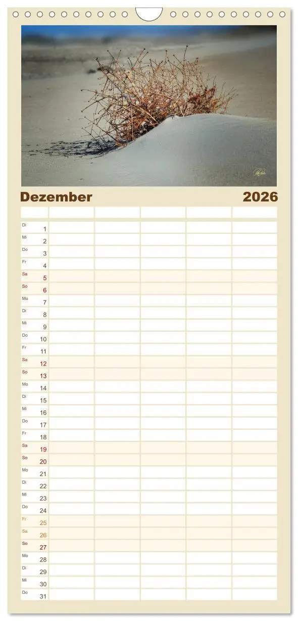 Bild: 9783516519198 | Familienplaner 2026 - Nordsee-Dünen mit 5 Spalten (Wandkalender, 21...