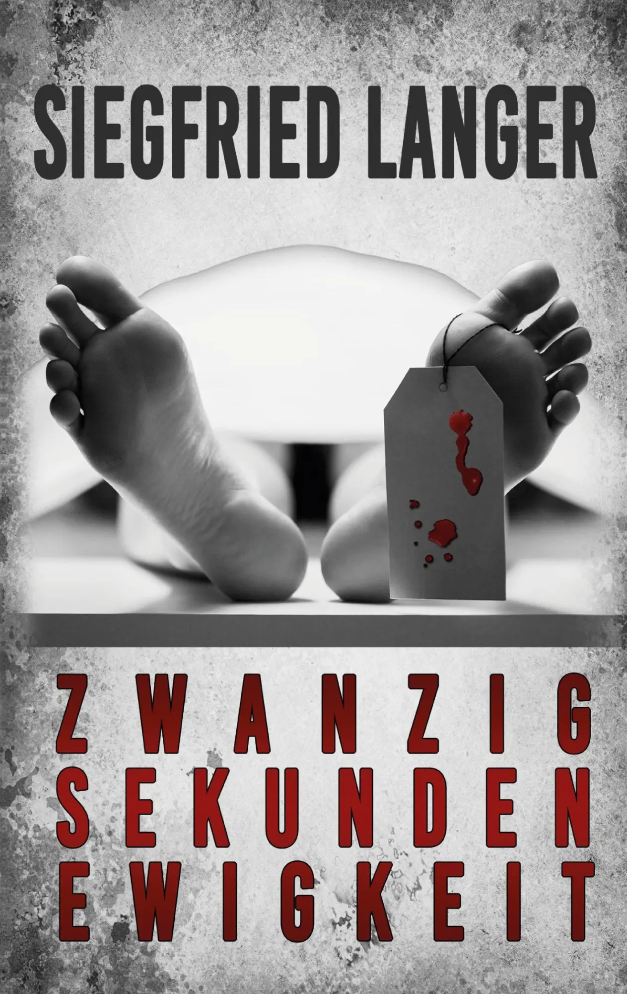 Cover: 9783744839198 | Zwanzig Sekunden Ewigkeit | Siegfried Langer | Taschenbuch | 184 S.