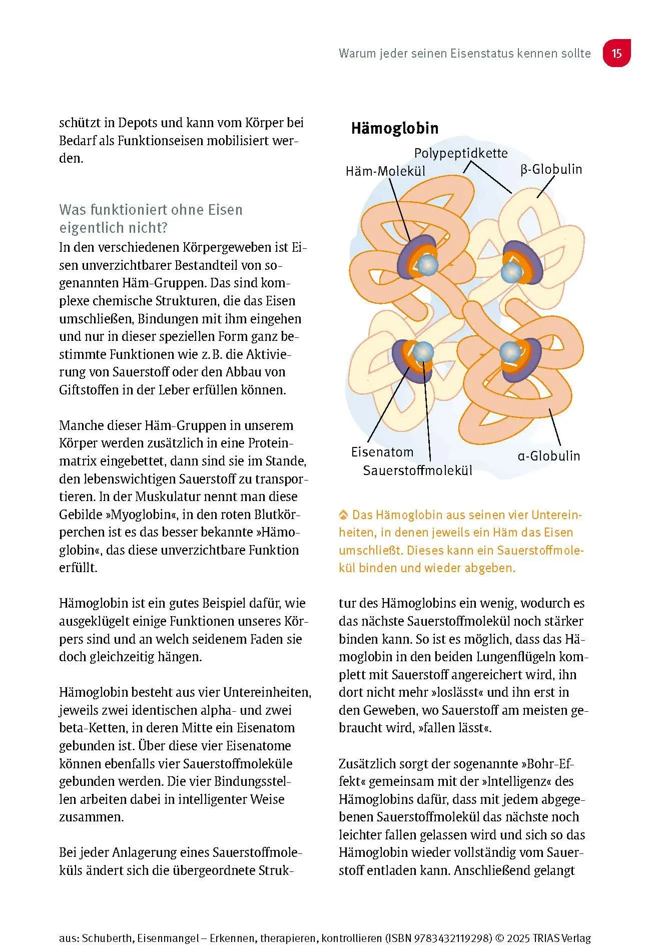 Bild: 9783432119298 | Eisenmangel - Erkennen, therapieren, kontrollieren | Schuberth | Buch