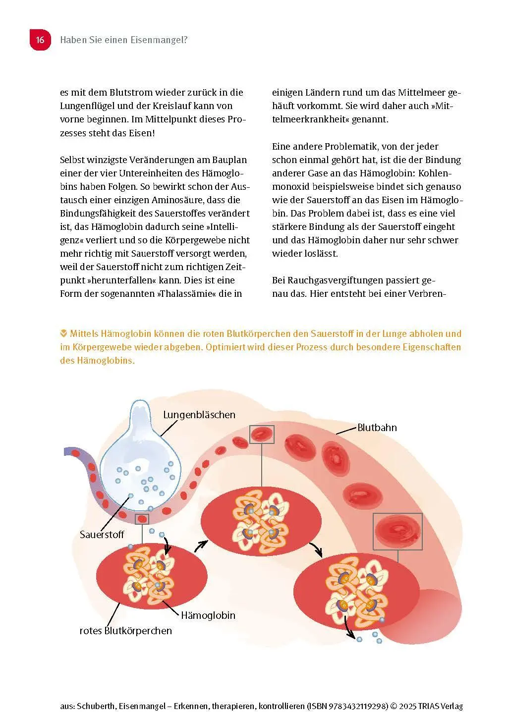 Bild: 9783432119298 | Eisenmangel - Erkennen, therapieren, kontrollieren | Schuberth | Buch